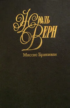 Жюль Верн Миссис Брэникен [Миссис Бреникен] обложка книги