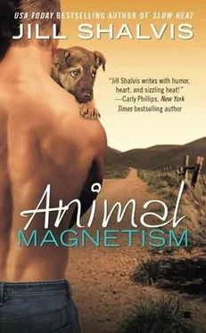 Jill Shalvis Animal Magnetism