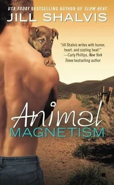 Jill Shalvis Animal Magnetism обложка книги