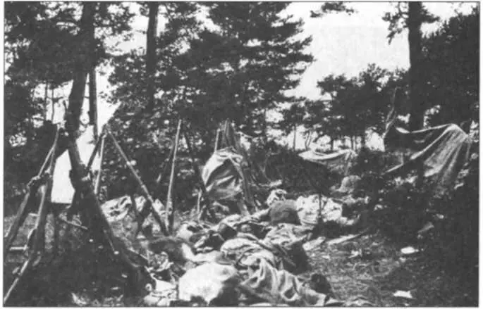 Покинутий табір Копія Трофеї Копія Ще вчора вони мріяли Копія - фото 157