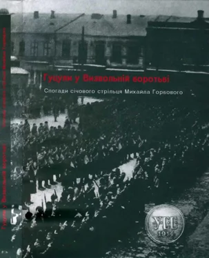 Михайло Горбовий Гуцули у Визвольній боротьбі обложка книги