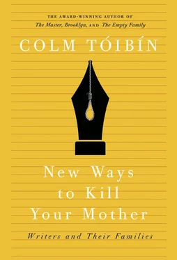 Colm Tóibín New Ways to Kill Your Mother обложка книги