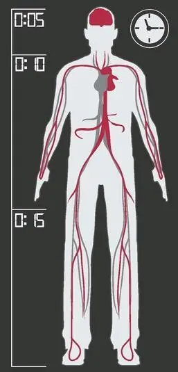 The coagulating blood also causes signs of rigor mortis in the victims - фото 176