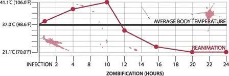 BODY TEMPERATURE DURING ZOMBIFICATION Increased heart rate will lead to acute - фото 177