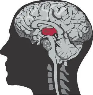Stage 4 Paralysis Fullbody paralysis is necessary in order to restrain the - фото 178
