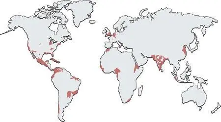 Cities and small countries have the potential to collapse altogether sometimes - фото 185
