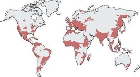 The infected horde will continue to multiply unless new unconventional - фото 186