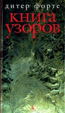 Дитер Форте Книга узоров обложка книги