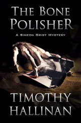 Timothy Hallinan - The Bone Polisher