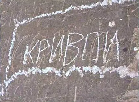 Давно не видал зрелища грустнее Из комментариев к посту katerinafoto С - фото 151