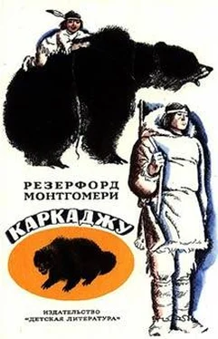 Резерфорд Монтгомери Каркаджу обложка книги