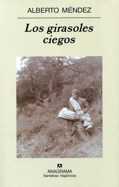 Alberto Méndez Los girasoles ciegos обложка книги