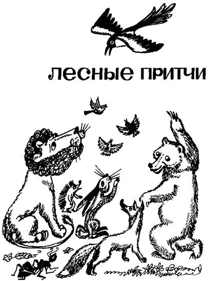 Росинка Появилась она ночью на остром листе Осокоря И сразу заявила Я - фото 11