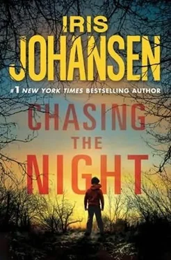 Iris Johansen Chasing the Night обложка книги