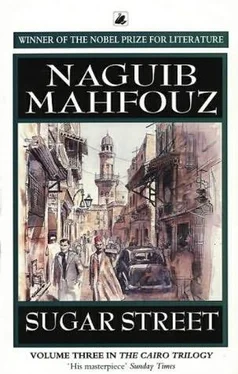 Naguib Mahfouz Sugar Street обложка книги