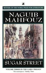 Naguib Mahfouz - Sugar Street