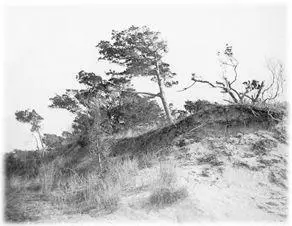 Atlantic City PreRailroad This was the virgin landscape out of which Pitney - фото 56