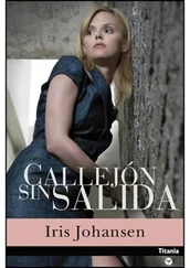 Iris Johansen - Callejón sin salida