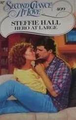 Janet Evanovich - Hero at Large