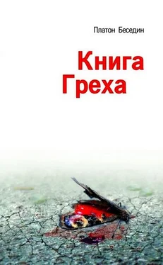 Платон Беседин Книга Греха обложка книги