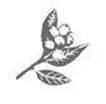 T urnip snapped his fingers Theres a frost fair at Farley Castle tomorrow - фото 5