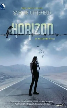 Sophie Littlefield Horizon обложка книги