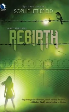 Sophie Littlefield Rebirth обложка книги