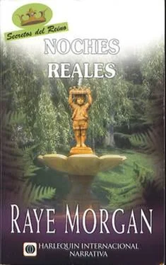 Raye Morgan Noches Reales обложка книги