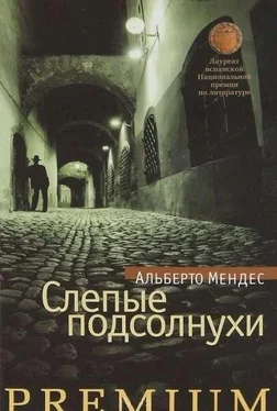 Альберто Мендес Слепые подсолнухи обложка книги