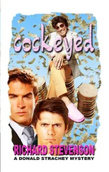 Richard Stevenson - Cockeyed