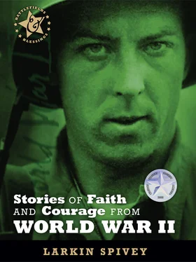 Larkin Spivey Stories of Faith and Courage from World War II обложка книги