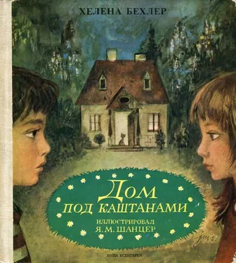 Хелена Бехлер Дом под каштанами обложка книги