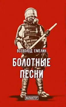 Всеволод Емелин Болотные песни обложка книги