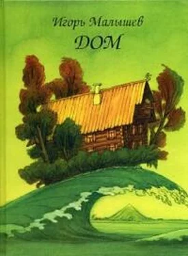 Игорь Малышев Дом обложка книги