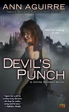 Ann Aguirre Devil's Punch обложка книги