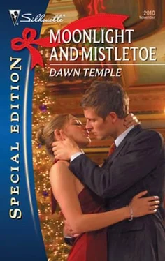 Dawn Temple Moonlight and Mistletoe обложка книги