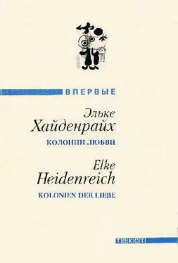 Эльке Хайденрайх Колонии любви /Сборник рассказов/ обложка книги