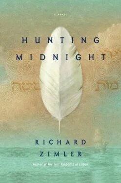 Richard Zimler Hunting Midnight обложка книги