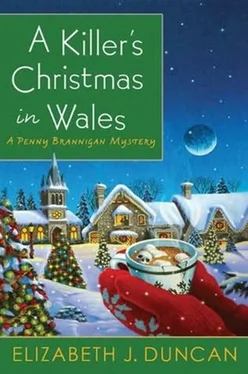 Elizabeth Duncan A Killer's Christmas in Wales обложка книги