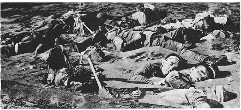 The First Marine Division landed on Guadalcanal August 7 1942 but the first - фото 21