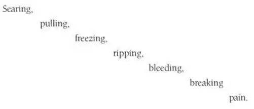 My stomach muscles seize Cant vomit empty Eyes see only blobs Some bright - фото 2
