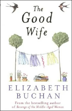 Elizabeth Buchan The Good Wife aka The Good Wife Strikes Back обложка книги