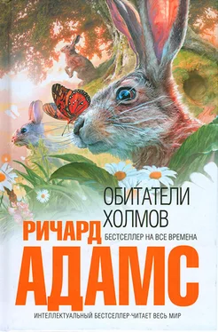 Ричард Адамс Обитатели холмов [издание 2011 г.] обложка книги