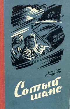 Николай Стуриков Сотый шанс обложка книги