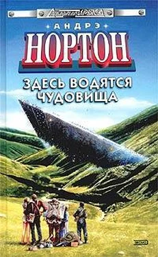 Андрэ Нортон Здесь водятся чудовища обложка книги