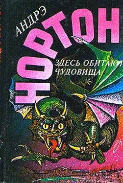 Андрэ Нортон Глазом чудовища обложка книги