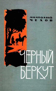 Анатолий Чехов Чёрный беркут обложка книги