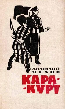Анатолий Чехов Кара-курт обложка книги