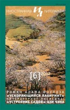 Адам Фоулдз Ускоряющийся лабиринт обложка книги