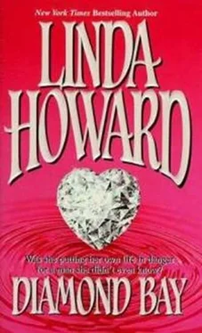 Linda Howard La Bahia Del Diamante обложка книги